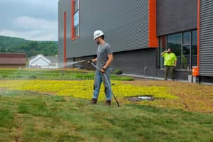 Green Roof 9