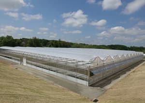 EPS Foam Insulation for Greenhouse Concrete Slab