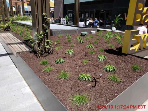 Expanded Polystyrene used to Insulate Above Ground Planters